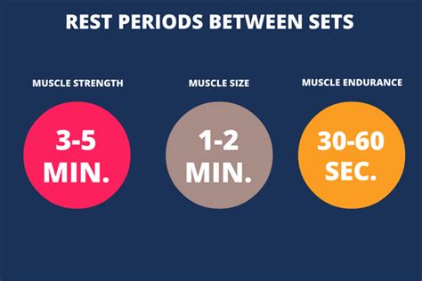 The Ultimate Weightlifting For Beginners Guide – I AM &amp; CO
