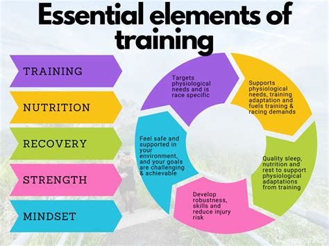 How to optimize training for peak male strength & explosive performance?