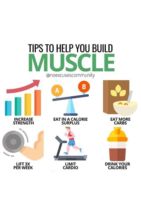 Basics of Building Muscle | Build muscle, Gym tips, Build gym