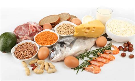 Protein, Explained