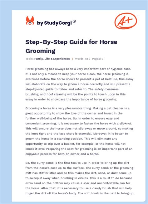 Step-By-Step Guide for Horse Grooming | Free Essay Example