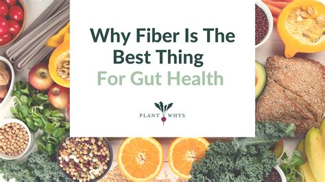 How to get more fiber for better gut health daily?