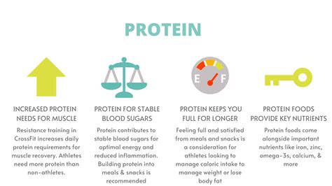 How Much Protein for CrossFit: Optimal Intake for Performance