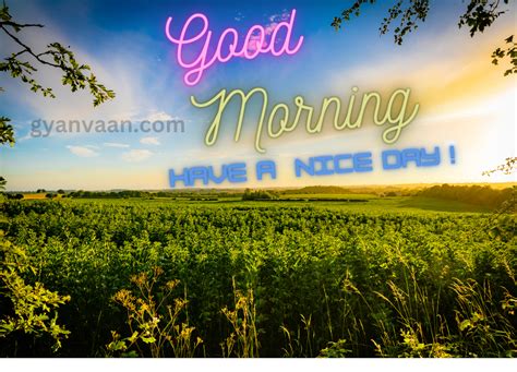 Best 100+ Good Morning Images With Quotes For WhatsApp