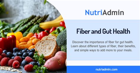 Fiber and Gut Health - NutriAdmin Blog