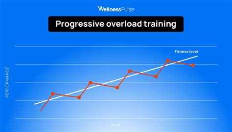 What Is Progressive Overload Training? | WellnessPulse