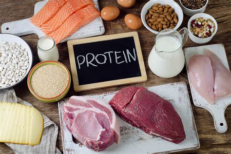 Why is protein so important – and how much should we actually eat? - The BV