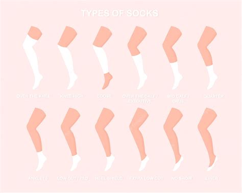 Premium Vector | Types of socks set. Socks of different heights and various forms. Vector ...
