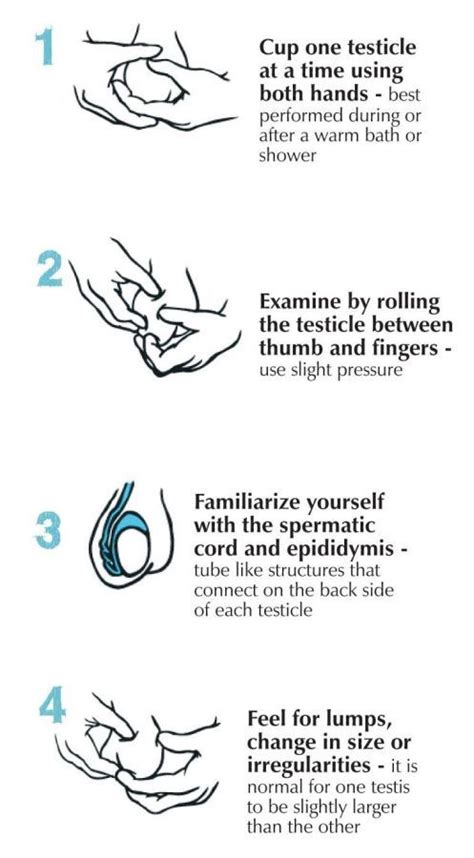 How often should men perform testicular self-examinations?