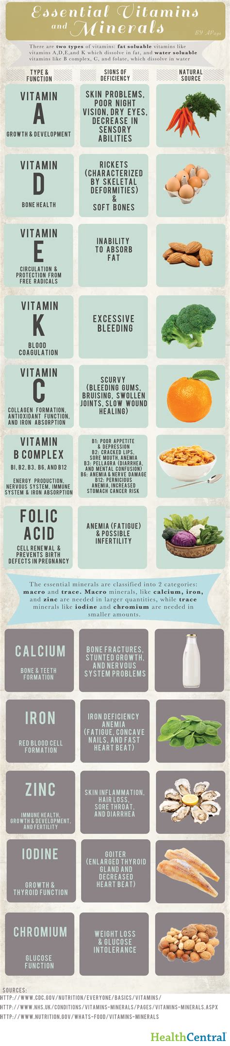 Essential Vitamins And Minerals - Infoingraph
