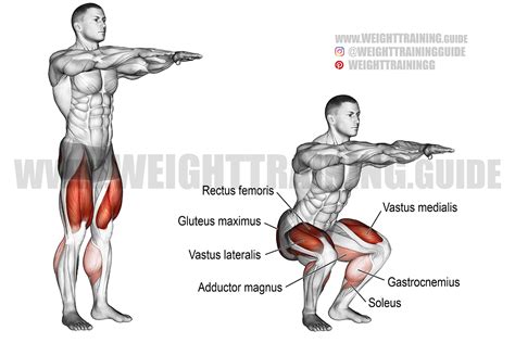 Bodyweight squat exercise instructions and video | Weight Training Guide