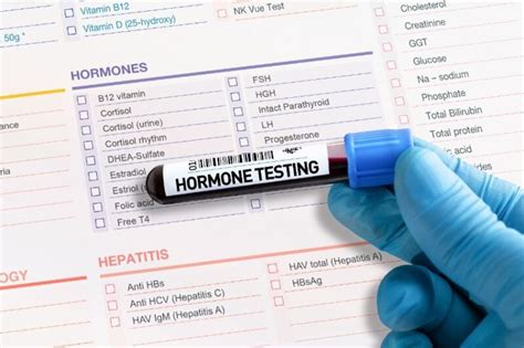 What role does adequate zinc intake play in supporting male testosterone production and overall reproductive health?