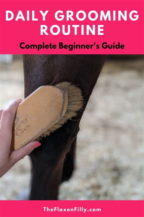 Daily grooming routine your horse will love – Artofit