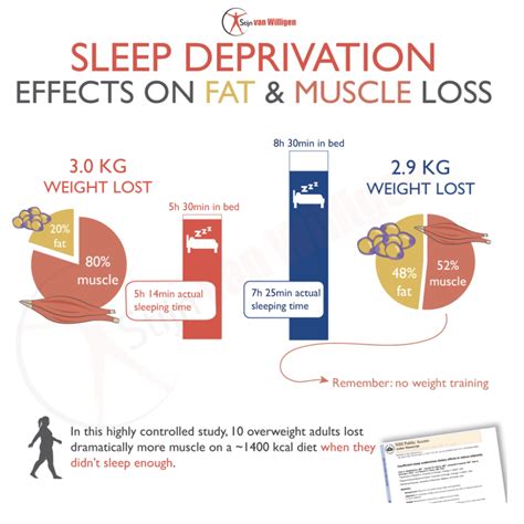 How to optimize sleep for faster muscle recovery & peak cognitive function?