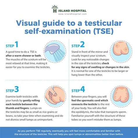 How often should men perform a testicular self-examination?