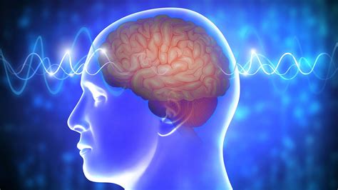 Wiring up the brain