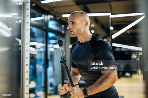 Young Man Exercising With Weights In The Local Gym Stock Photo ...