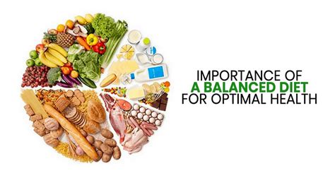 Importance of a Balanced Diet for Optimal Health