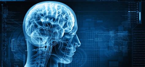 13 Fascinating Facts About Your Brain | Inc.com