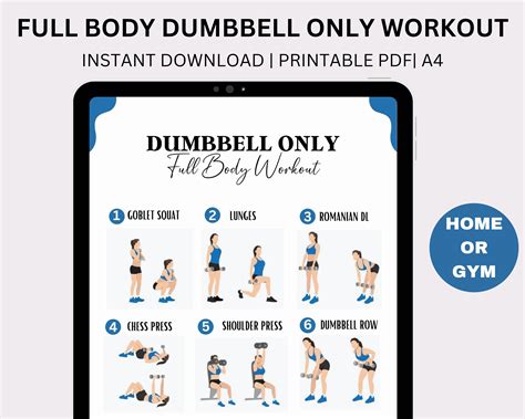 Full Body Dumbbell Workouts | lupon.gov.ph