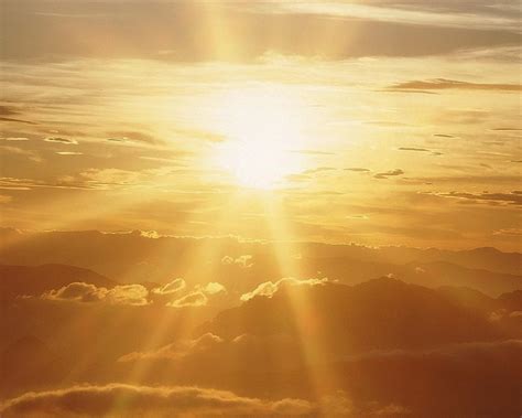 Sunshine - Rezepte Suchen