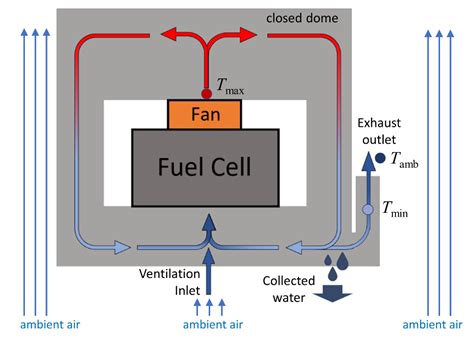 How to fuel for peak morning energy & focus without afternoon crashes?