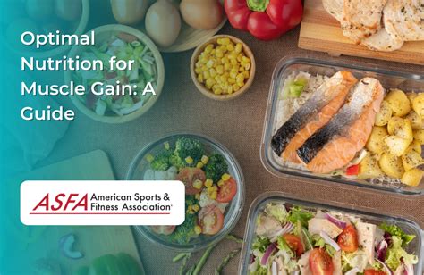 Optimal Nutrition for Muscle Gain: A Guide