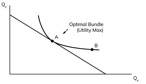 Optimal Bundle (Utility Maximization) - Wize University Microeconomics ...