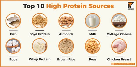 10 High Protein Sources You Need in Your Protein-Rich Diet