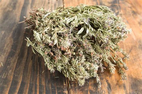 Summer Savory: History, Flavor, Benefits, Uses – SPICEography