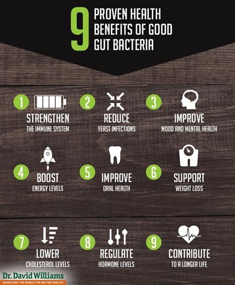 Good Gut Bacteria | A Beginner's Guide | Healthy Directions