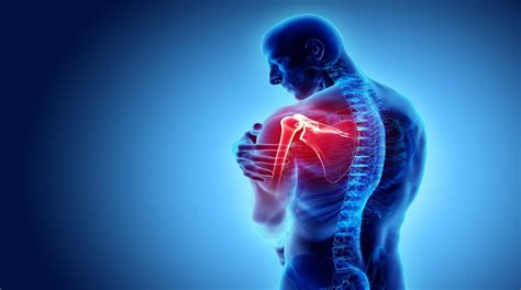Secrets of the Shoulder - WebExercises Academy