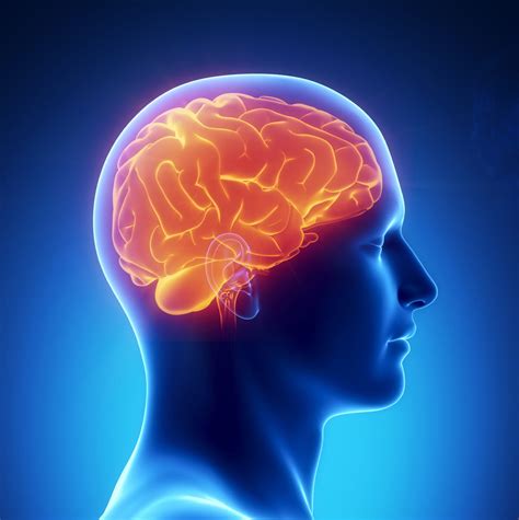 Cognitive Milestones in Early Childhood Development | Tash's Digital ...