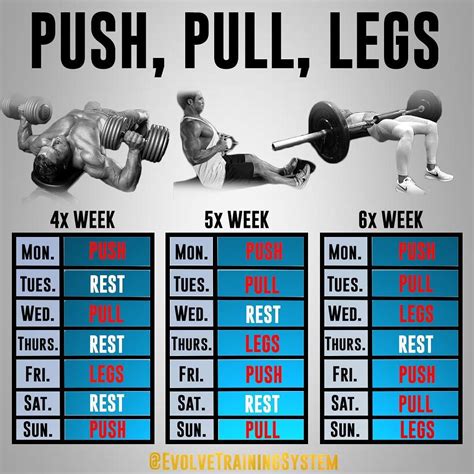 Best Push Pull Legs Routine For Beginners - SUCLA