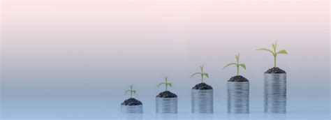 Dhanlabh Capital Services LLP – AMFI Registered Mutual Fund Distributor