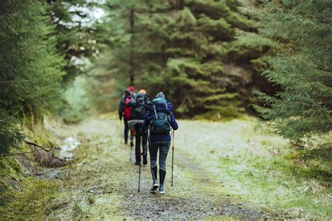 Planning a Hiking Trip: The Complete Guide