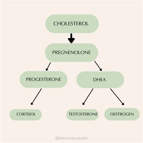 FATS make your HORMONES — Ellen Louise Naturopath