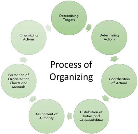 What is Organizing? definition, process and principles - The Investors Book