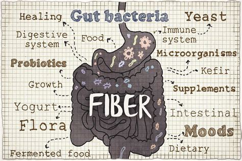 Boost gut health: what daily fiber goal?