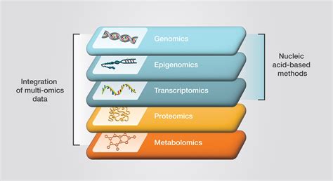 Supporting Multi-omics Approaches | Thermo Fisher Scientific - BR