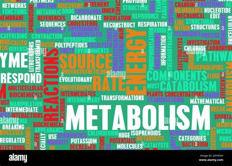 Metabolic diagram hi-res stock photography and images - Alamy
