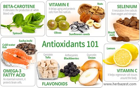 Antioxidant Products Meaning at Emmett Messner blog