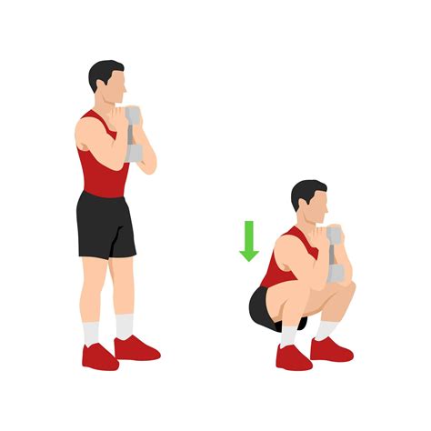 Top Compound Exercises For Full Body Workout - Infoupdate.org