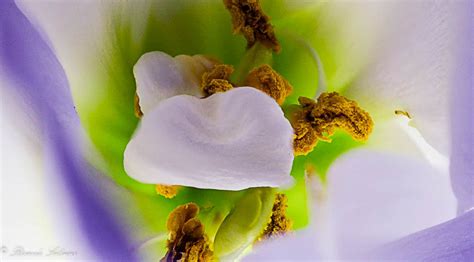 COMO HACER UNA MACRO paso a paso.