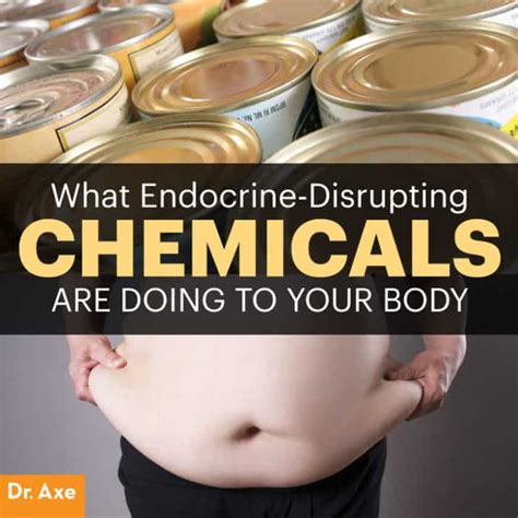 How Endocrine Disruptors Destroy Your Body - Dr. Axe