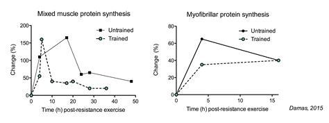 The Ultimate Guide to Muscle Protein Synthesis
