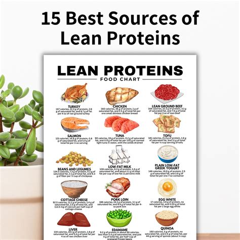 Lean Protein Food Chart, High Protein Food List, Keto Food List for ...