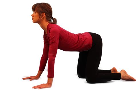 Yoga Poses ~ Cat Cow | Dewdrop