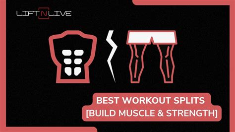 5 Best Workout Splits to Build Muscle &amp; Strength [in 2025]