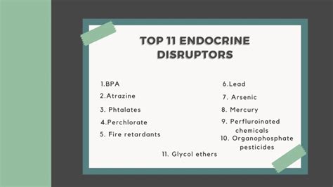 Top Endocrine Disruptors and How to Avoid Them - Natural Health Rising